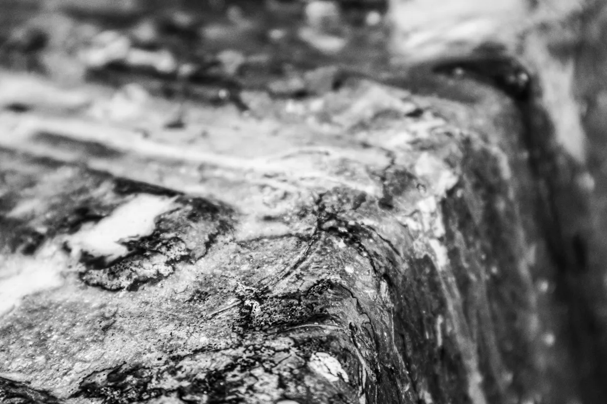 Alixe gebruikt fotografie als wapen in mentale strijd