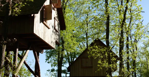 boomhut